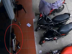 Ảnh bìa bài viết 362000