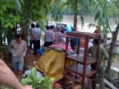 Ảnh bìa bài viết 362353