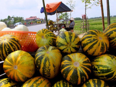 Ảnh bìa bài viết 362456
