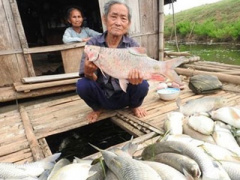 Ảnh bìa bài viết 362650