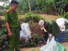 Ảnh bìa bài viết 362646