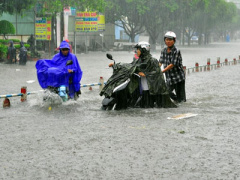 Ảnh bìa bài viết 362366