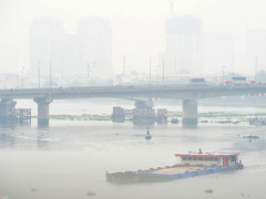 Ảnh bìa bài viết 362521