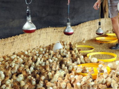 Ảnh bìa bài viết 362546