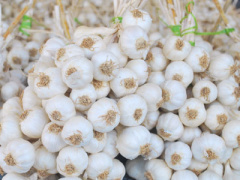 Ảnh bìa bài viết 362515
