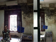 Ảnh bìa bài viết 362932