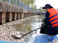 Ảnh bìa bài viết 362681
