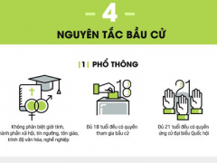 Ảnh bìa bài viết 363093