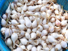 Ảnh bìa bài viết 363110