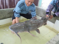 Ảnh bìa bài viết 363261