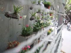 Ảnh bìa bài viết 363350