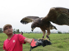 Ảnh bìa bài viết 363260