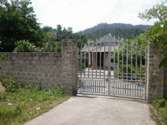 Ảnh bìa bài viết 363463