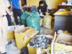 Ảnh bìa bài viết 363687