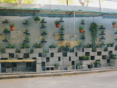 Ảnh bìa bài viết 363688