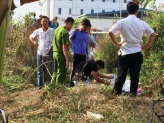 Ảnh bìa bài viết 363897
