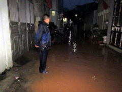 Ảnh bìa bài viết 364149
