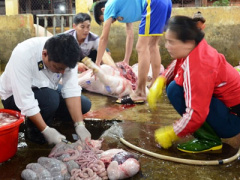 Ảnh bìa bài viết 364368