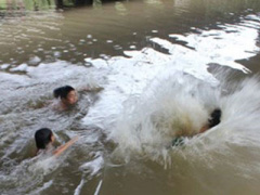Ảnh bìa bài viết 364272