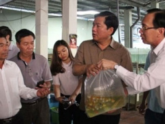 Ảnh bìa bài viết 364504