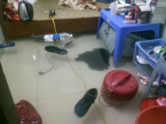 Ảnh bìa bài viết 364608