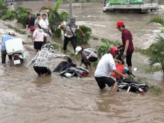Ảnh bìa bài viết 364649