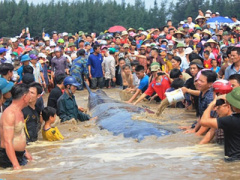 Ảnh bìa bài viết 364523