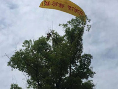 Ảnh bìa bài viết 364588