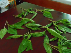 Ảnh bìa bài viết 364799