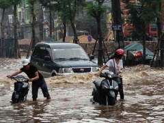 Ảnh bìa bài viết 364887