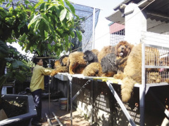 Ảnh bìa bài viết 364835