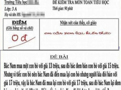 Ảnh bìa bài viết 364849