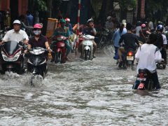 Ảnh bìa bài viết 364660