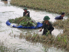 Ảnh bìa bài viết 364895