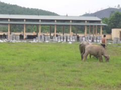 Ảnh bìa bài viết 364693