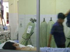Ảnh bìa bài viết 365157