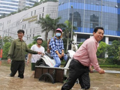 Ảnh bìa bài viết 364941