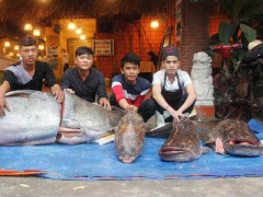 Ảnh bìa bài viết 365180