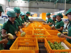 Ảnh bìa bài viết 365303