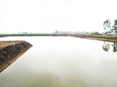 Ảnh bìa bài viết 365486