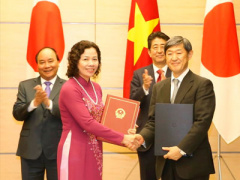 Ảnh bìa bài viết 365416