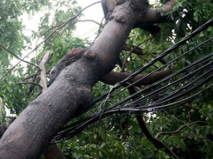 Ảnh bìa bài viết 365796