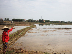 Ảnh bìa bài viết 365520
