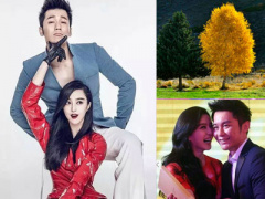 Ảnh bìa bài viết 365695