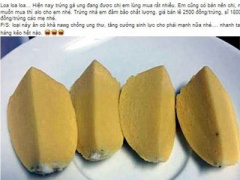 Ảnh bìa bài viết 365696