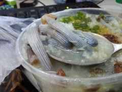 Ảnh bìa bài viết 365857