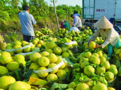Ảnh bìa bài viết 365843