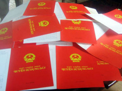 Ảnh bìa bài viết 365849