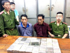 Ảnh bìa bài viết 366029