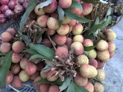 Ảnh bìa bài viết 366030